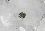 Druzy Pyrite On Quartz - El Hammam Mine, Morocco #61422-1